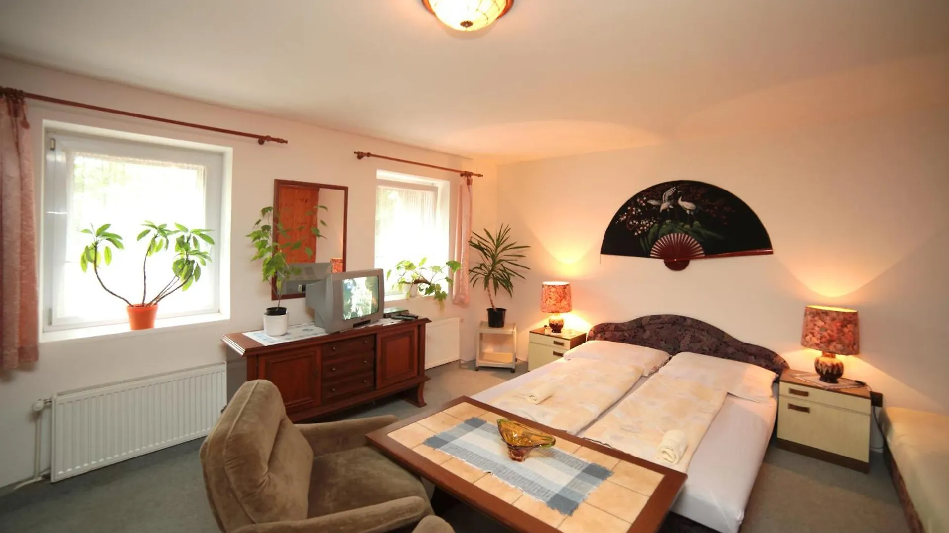 Pension U Kaštanů Karlovy Vary