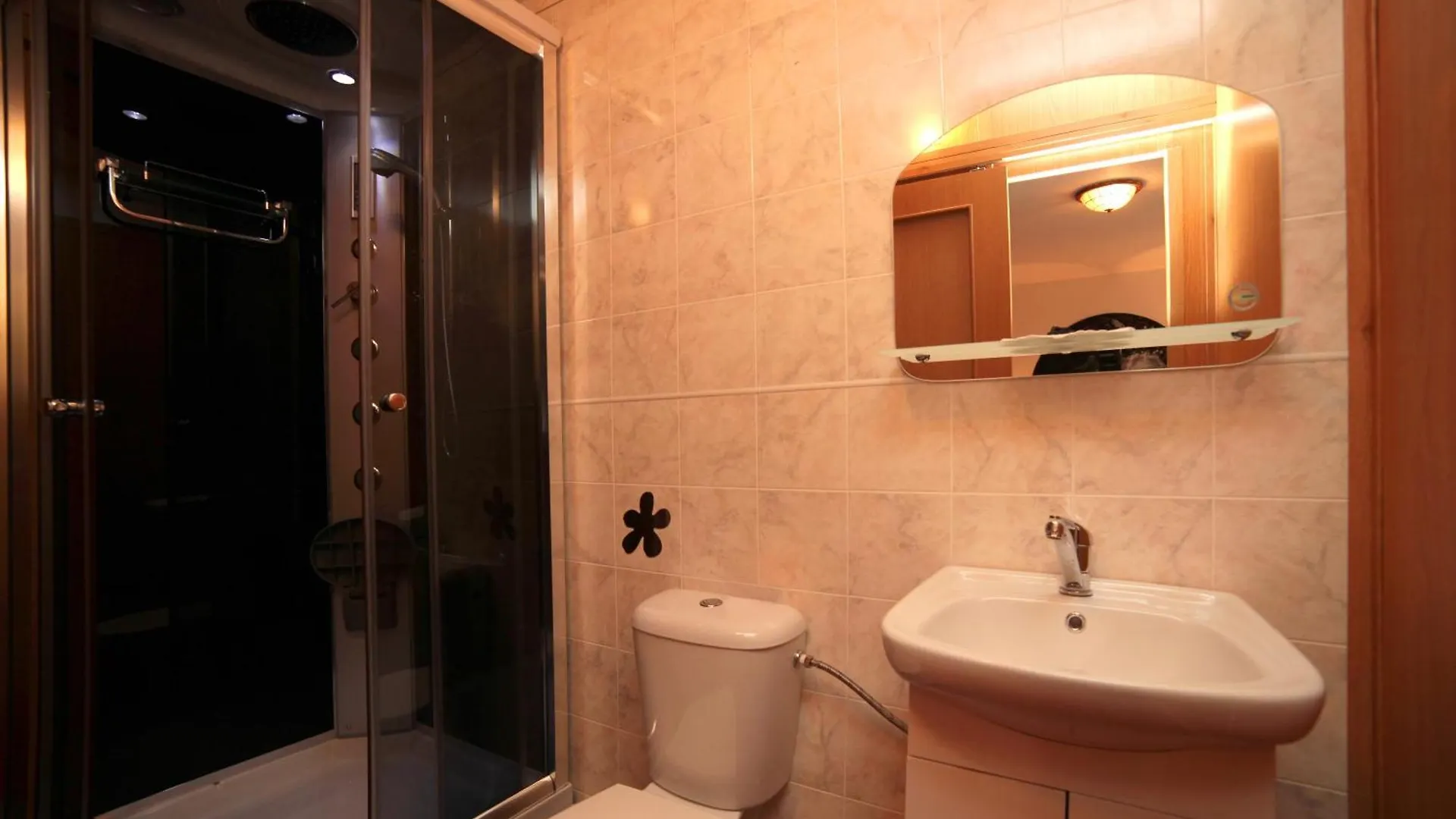Pension U Kaštanů Karlovy Vary 0*,