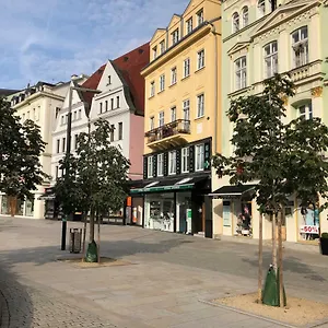 apartman-orchidej-u-vridla.karlovyvary-hotels.com/